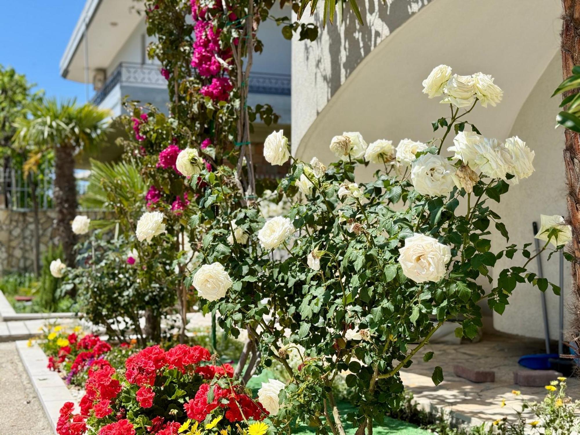 Villa Ida Apartments Vlorë Esterno foto