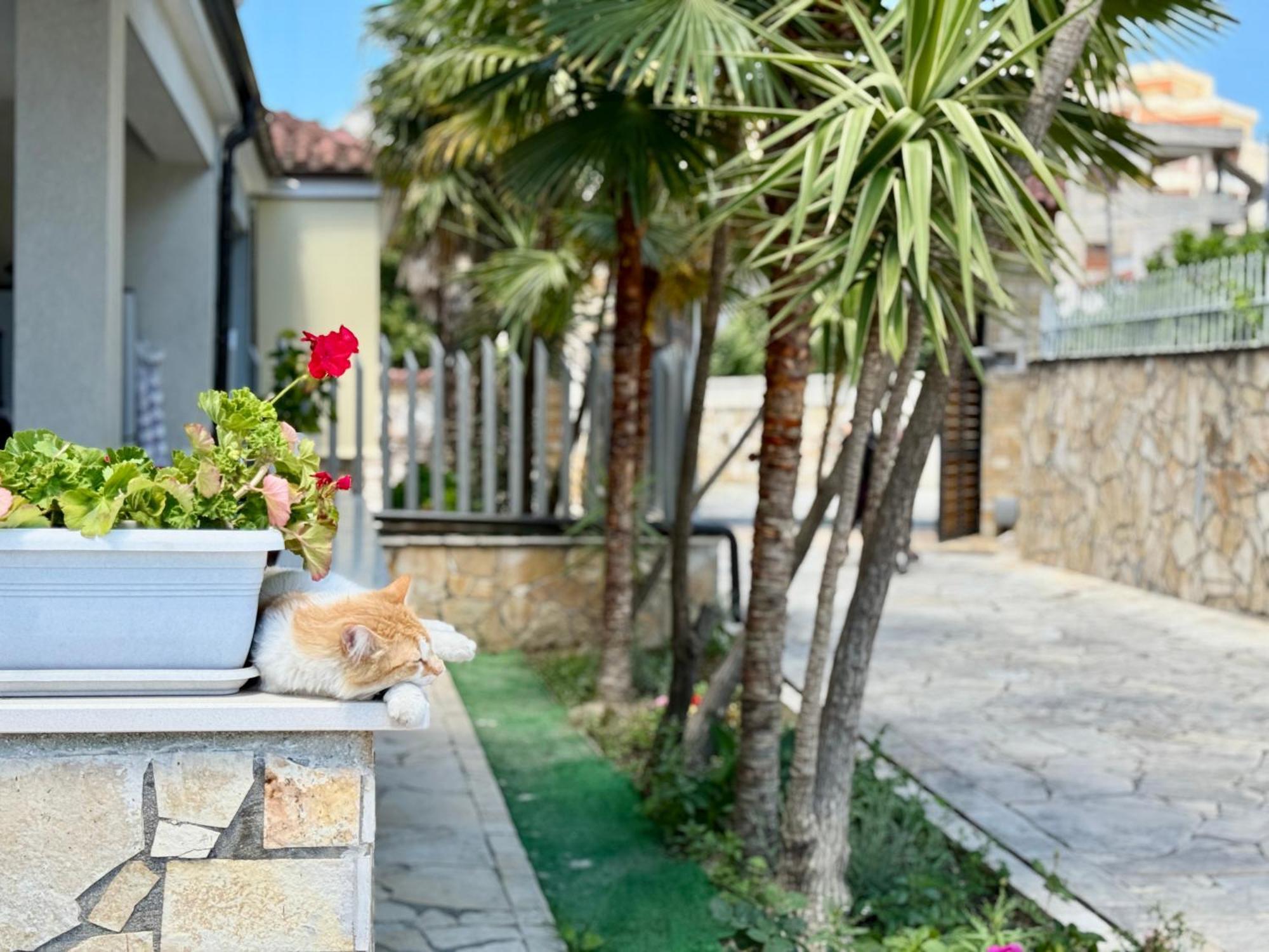 Villa Ida Apartments Vlorë Esterno foto